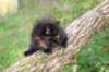 batel65weeks269202512_small.jpg
