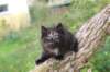 batel65weeks269202513_small.jpg