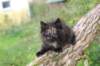 batel65weeks269202514_small.jpg