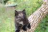 batel65weeks269202517_small.jpg