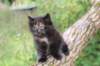 batel65weeks269202518_small.jpg