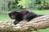 batel65weeks26920252_small.jpg