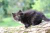 batel65weeks269202533_small.jpg