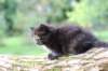 batel65weeks269202534_small.jpg
