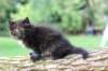 batel65weeks269202536_small.jpg