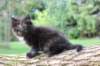 batel65weeks269202537_small.jpg