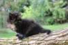 batel65weeks269202538_small.jpg