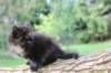 batel65weeks269202539_small.jpg