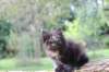 batel65weeks269202540_small.jpg