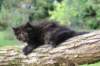 batel65weeks26920254_small.jpg