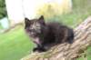 batel65weeks26920256_small.jpg