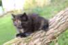 batel65weeks26920257_small.jpg