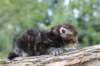 batya4weeks109202510_small.jpg