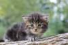 batya4weeks109202512_small.jpg