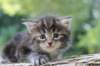 batya4weeks109202516_small.jpg