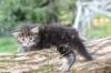 batya4weeks109202519_small.jpg