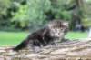 batya4weeks10920251_small.jpg