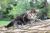 batya4weeks10920253_small.jpg