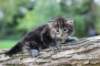 batya4weeks10920254_small.jpg