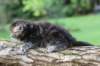 batya65weeks269202511_small.jpg
