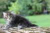 batya65weeks269202516_small.jpg