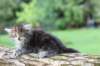 batya65weeks269202517_small.jpg