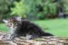 batya65weeks269202518_small.jpg