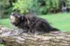 batya65weeks269202520_small.jpg