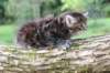 batya65weeks26920252_small.jpg