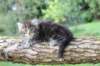 batya65weeks269202534_small.jpg