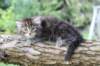 batya65weeks269202546_small.jpg