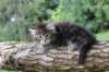 batya65weeks269202552_small.jpg