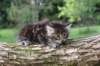 batya65weeks26920255_small.jpg