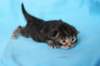 batyaf222weeks258202511_small.jpg