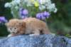 beeri35weeks49202519_small.jpg