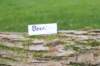 beeri65weeks26920251_small.jpg