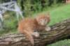 beeri65weeks269202534_small.jpg