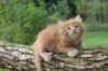 beeri65weeks269202535_small.jpg