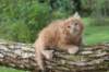 beeri65weeks269202536_small.jpg