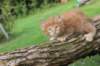 beeri65weeks269202544_small.jpg