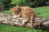 beeri65weeks269202551_small.jpg