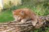 beeri65weeks269202554_small.jpg