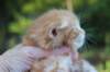 benny35weeks49202535_small.jpg