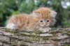 benny4weeks10september202511_small.jpg