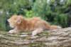 benny4weeks10september202516_small.jpg