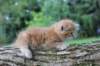 benny4weeks10september20254_small.jpg