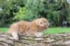 benny4weeks10september20258_small.jpg