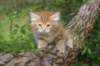 benny65weeks269202512_small.jpg
