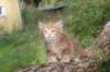 benny65weeks269202513_small.jpg