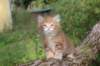 benny65weeks269202514_small.jpg